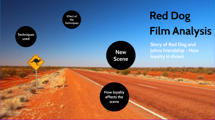 red dog film review essay