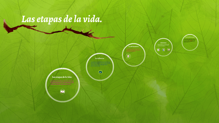Las etapas de la vida. by grupo4 grupo4 on Prezi