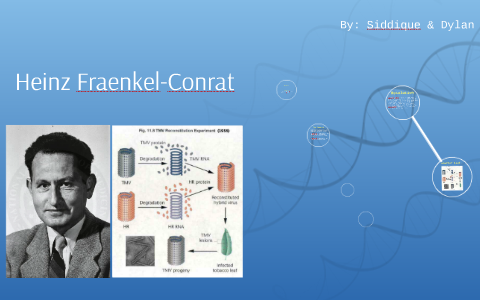 Heinz FraenkelConrat by Dylan Hodges on Prezi