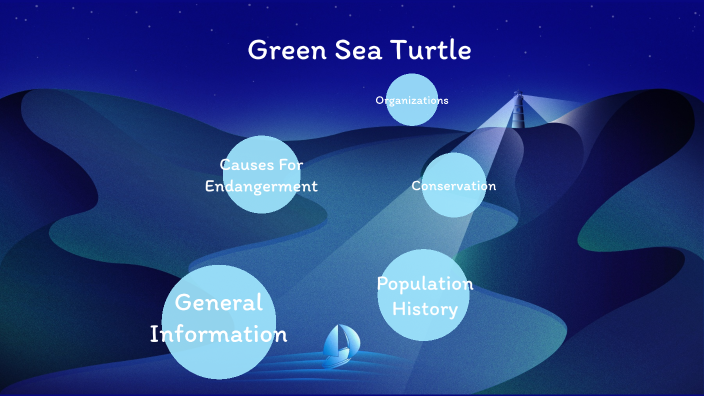 Green Turtle by Adriana Vera Martinez on Prezi