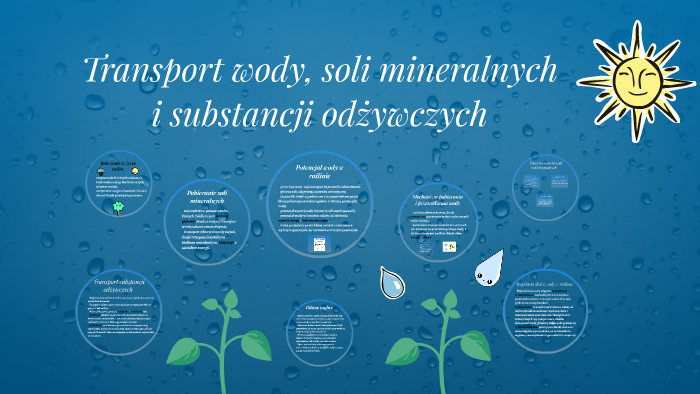 Transport Wody Soli Mineralnych I Substancji Odżywczych Prezentacja