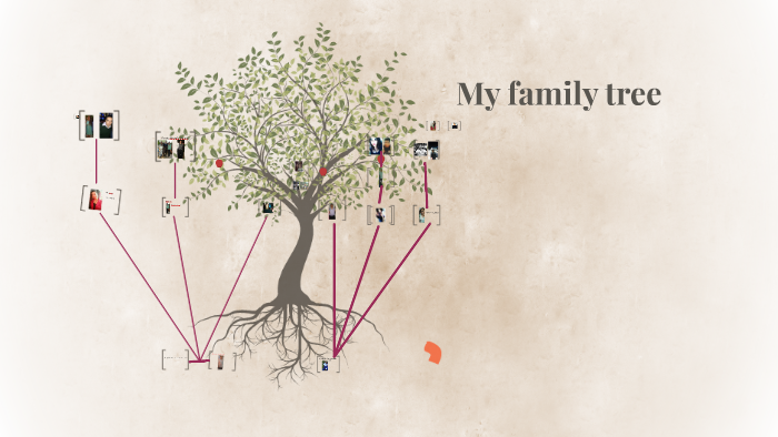 My family tree by marco zepeda on Prezi