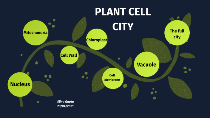 plant cell city by Meadow Emens on Prezi