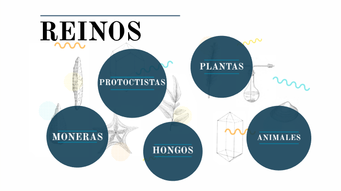 REINOS by Leslie Ibarra on Prezi