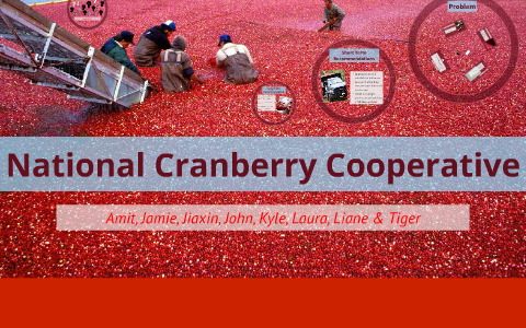national cranberry cooperative
