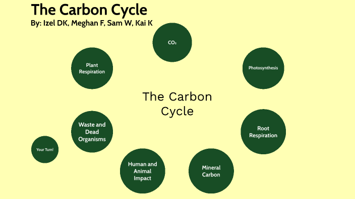 The Carbon Cycle by Izel Dominguez-Keenan on Prezi