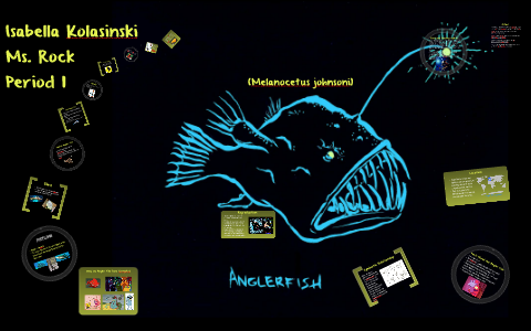 The AnglerFish by Bella Kolaski on Prezi