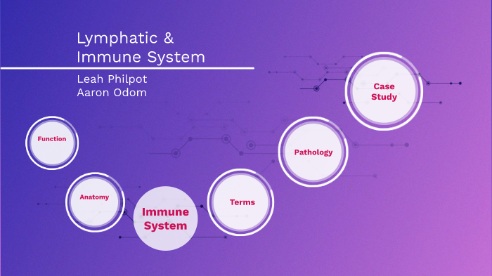 Lymphatic/Immune System by Aaron Odom on Prezi