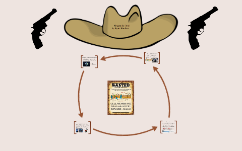 Cell Membrane by Ryan on Prezi