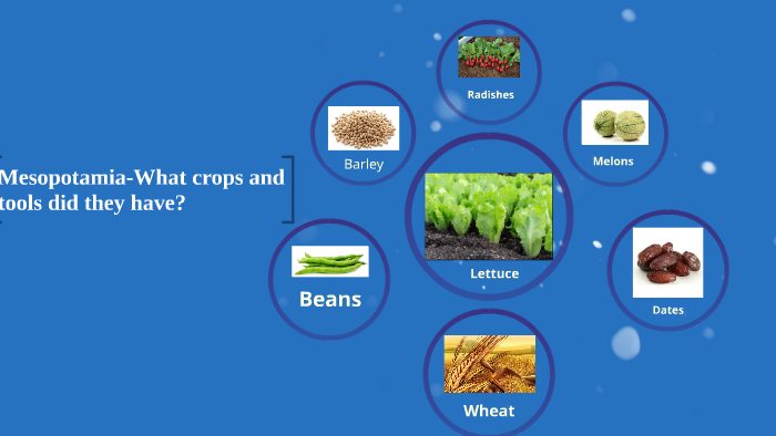 mesopotamia-what-crops-and-tools-did-they-have-by-charlene-ignacio