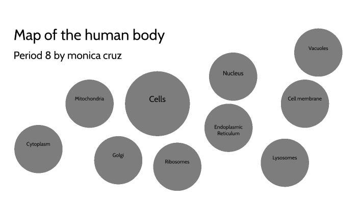 Map of the human body by Monica Cruz on Prezi