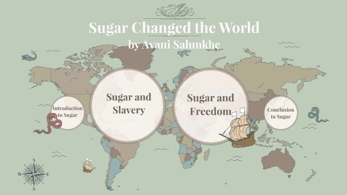 sugar-changed-the-world-presentation-by-avani-salunkhe