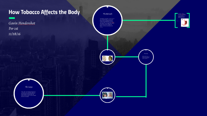 How Tobacco Affects the Body by Gavin Hendershot on Prezi