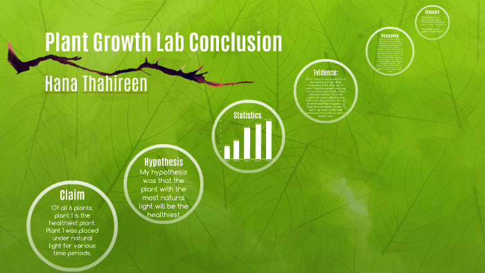 plant growth experiment conclusion