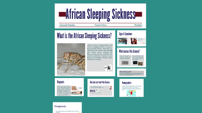 African Sleeping Sickness by Amanda Pamies on Prezi