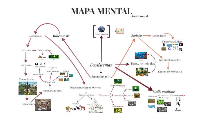 MAPA MENTAL by on Prezi Next