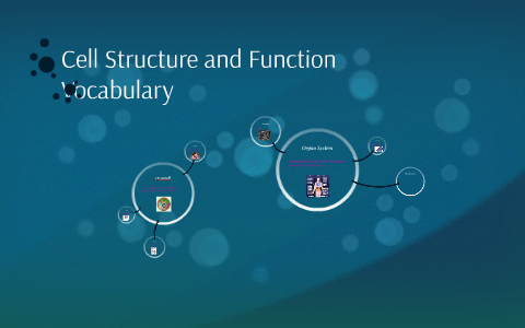 Cell Structure and Function Vocabulary by katie camp