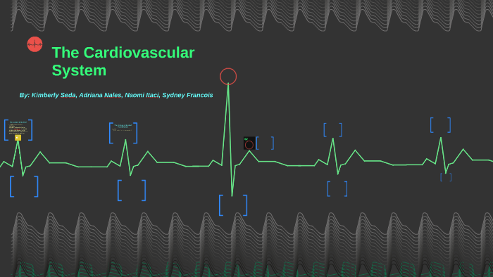 The Cardiovscular System by Kimberly Seda