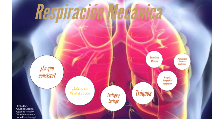 Respiración Mecánica By Lucas Roco Levaggi On Prezi Next