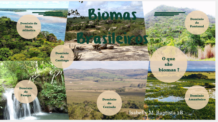Biomas brasileiros by isabelly baptista on Prezi
