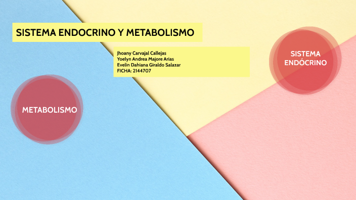 SISTEMA ENDOCRINO Y METABOLISMO By Evelin Giraldo. On Prezi