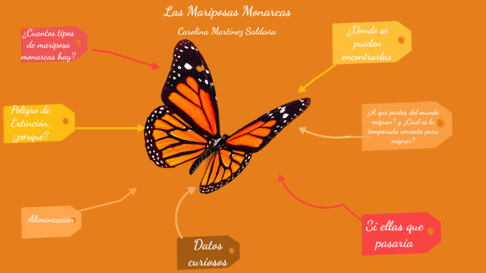 el viento es fuerte Enredo ataque Las Mariposas Monarcas by Carolina Martínez Saldaña on Prezi Next