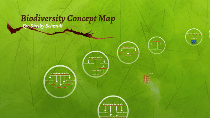 Biodiversity Concept Map By Shelby Schmidt