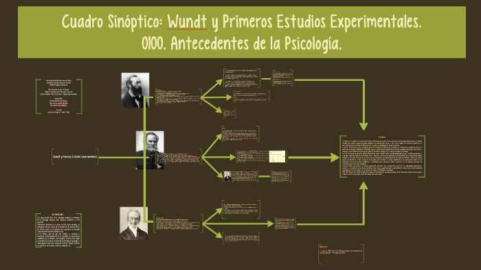 introspeccion experimental de wundt