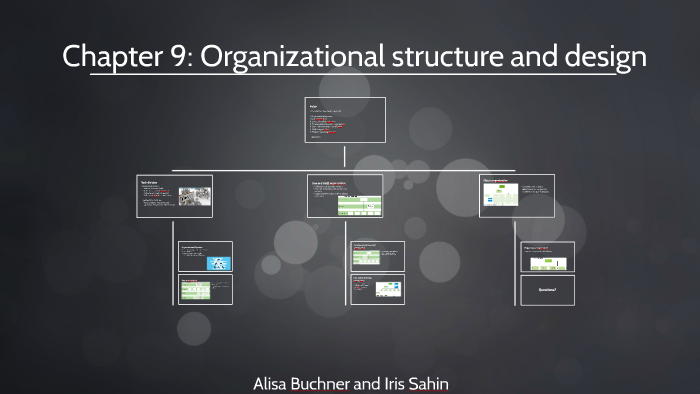 Chapter 9. Organizational Structure And Design By Iris Sahin