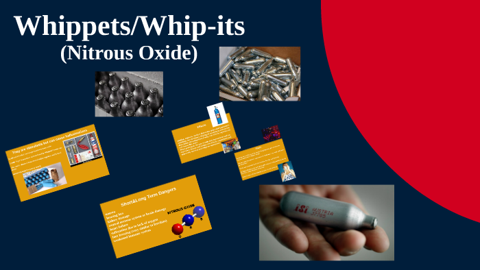 Whippets Whip Its By Emily Cox On Prezi