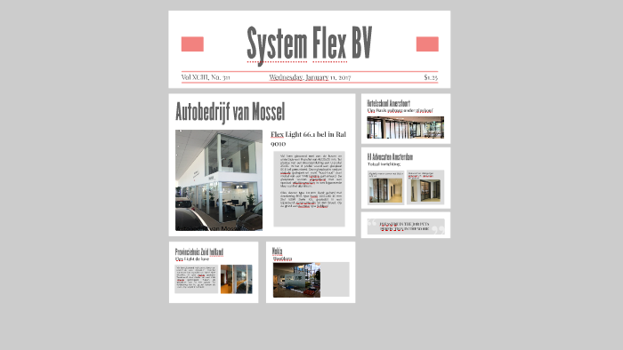 System Flex BV by Sidney Haarmans on Prezi
