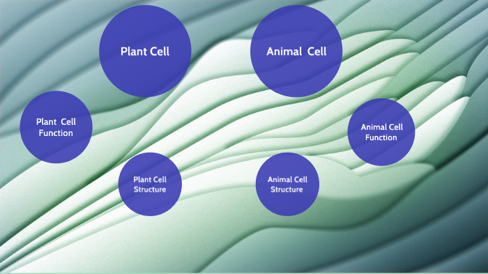 Plant and Animal Cells by Ashton Babnew on Prezi