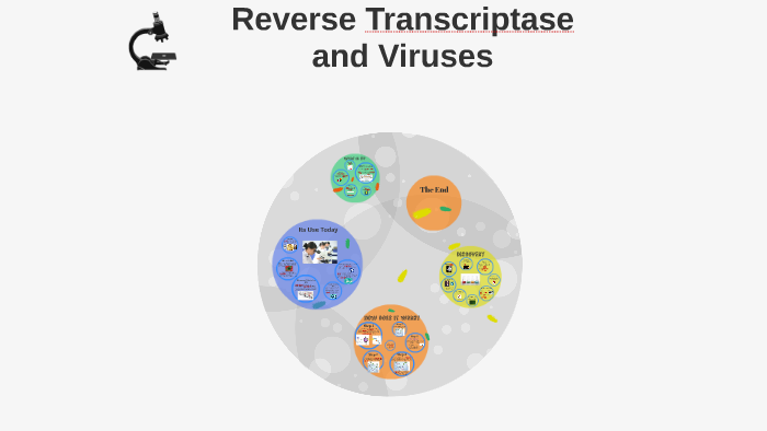 Reverse Transcriptase and Viruses by arielle lynn on Prezi Next