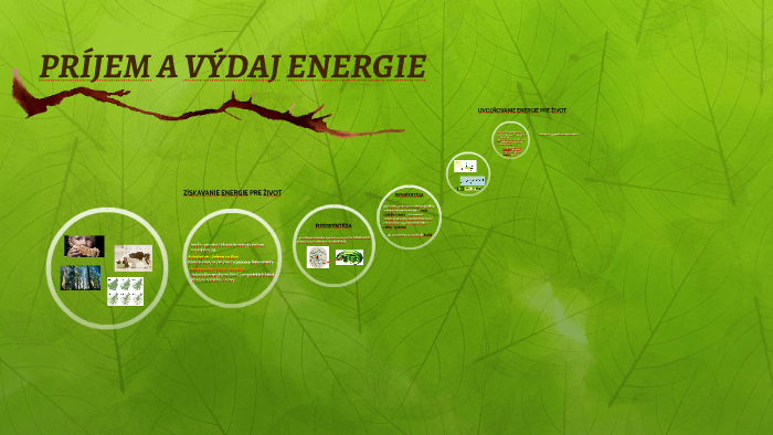 PRÍJEM A VÝDAJ ENERGIE by Juraj Senič on Prezi