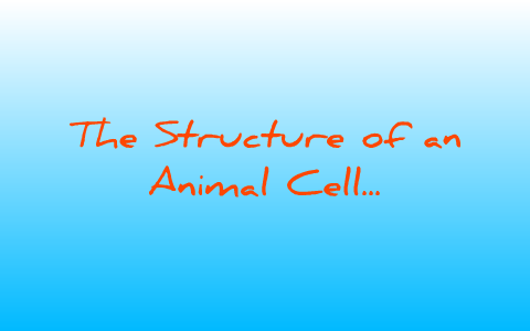 The Structure of an Animal Cell by Nicole Bullock on Prezi