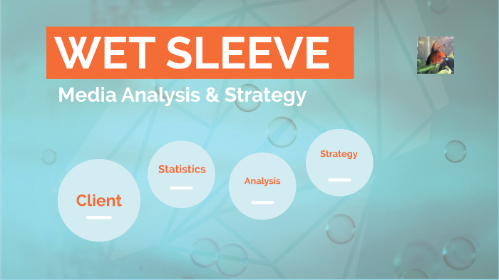 Media Analysis & Strategy by Randi Judge on Prezi