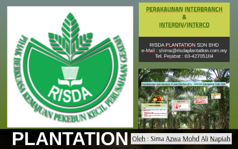 Risda plantation