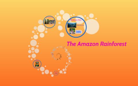 The Amazon Rainforest by Aiyah Bakir on Prezi