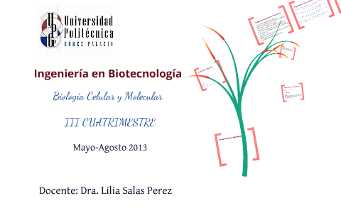 Presentación de la materia by LILIA SALAS PEREZ on Prezi