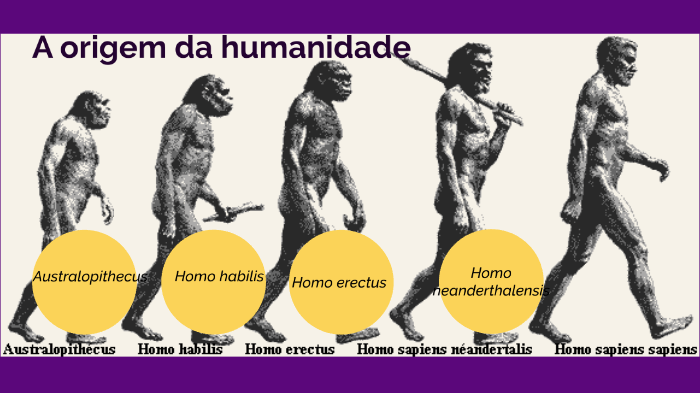 evolução hominídeos by Marina Dantas on Prezi