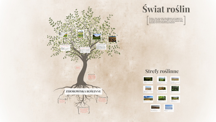 Świat roślin by Tomasz W.