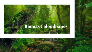 Biomas Colombianos by Maria Gabriela Ramos Montaño on Prezi Design