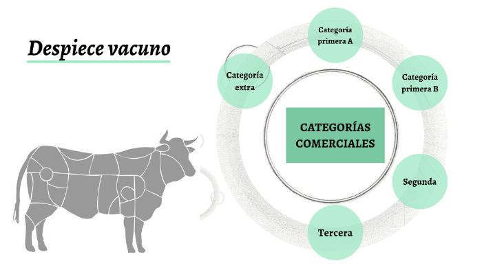 despiece-vacuno-by-ana-ralfas-on-prezi