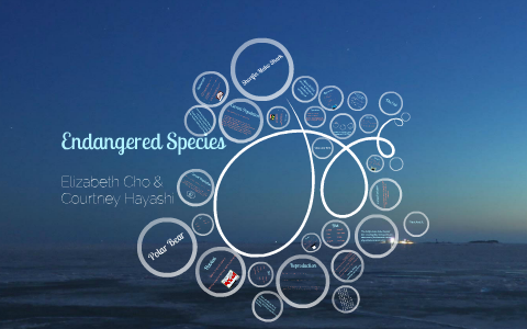 Endangered Species by Courtney H. on Prezi