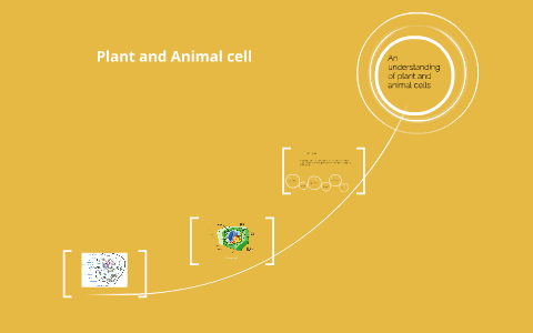 Plant and Animal cell by on Prezi