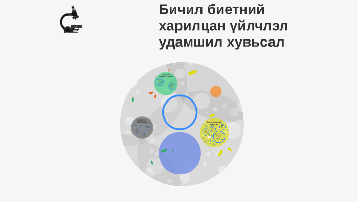 Бактерийн удамшил хувьсал by Ариунаа Э. on Prezi