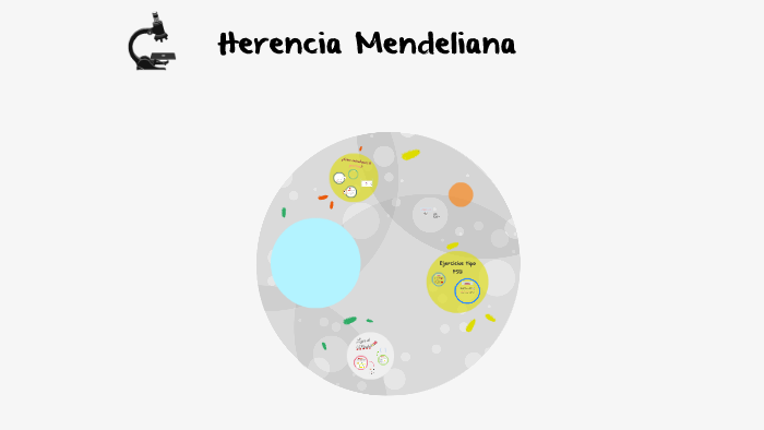 Herencia Mendeliana By Antonia Martínez On Prezi