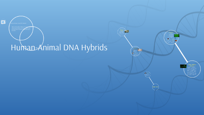 Human-Animal DNA Hybrids by ASIAN!! BOI!!!!