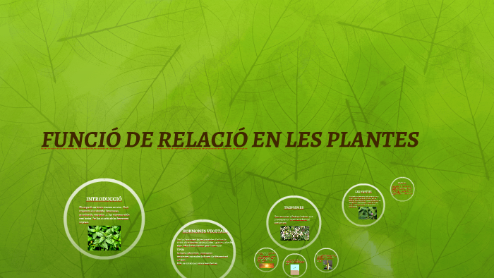 FUNCIÓ DE RELACIÓ EN LES PLANTES by Carles Raventós on Prezi