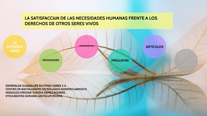 necesidades basicas de los seres vivos